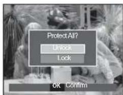 SAMSUNG SL201 - Protecting images - 3