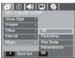 SAMSUNG SL201 - Setting Background Music - 2