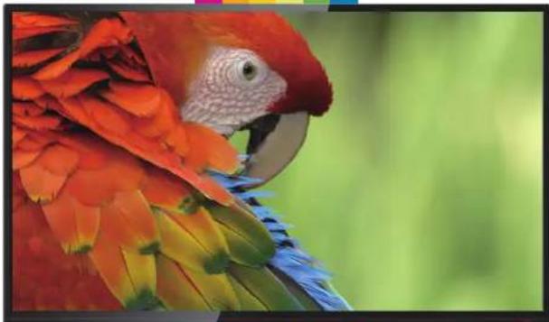 POLAROID DE550M3N4AU-YA4 - Polaroid ULTRAHD 4K Resolution 3840 x 2160 - 1