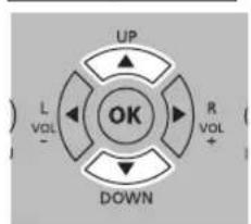 UP L VOL - OK R VOL + DOWN