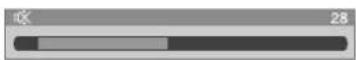 PIONEER PRO-930HD - Changing the volume and sound - 4