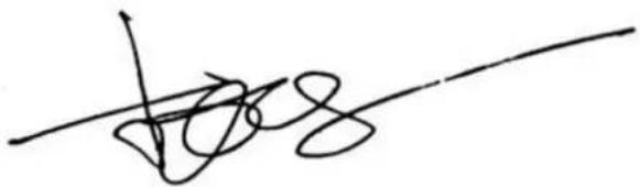 Handwritten signature or scribble on a line, possibly a signature or note