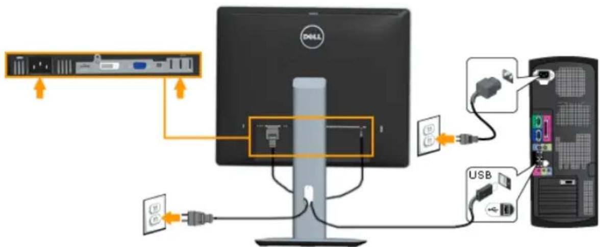 DELL P1914S - Connecting USB cable - 1