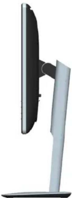 DELL P1914S - Side View - 1