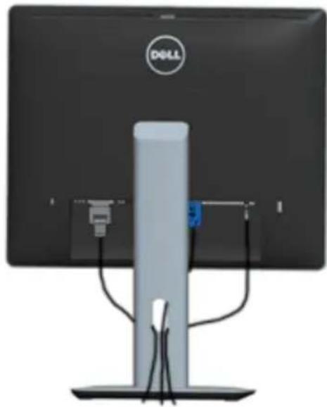 DELL P1914S - Organizing Your Cables - 1