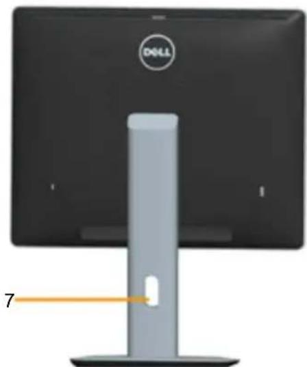 DELL P1914S - Identifying Parts and Controls - 4