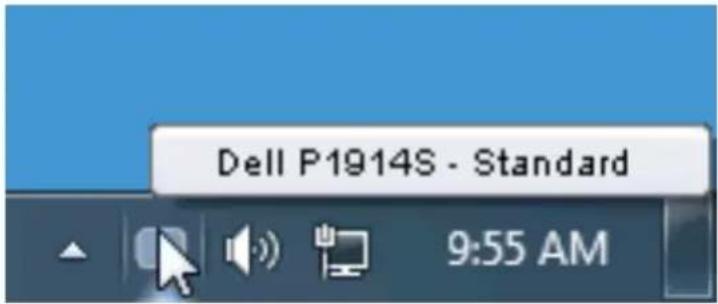DELL P1914S - Overview - 1