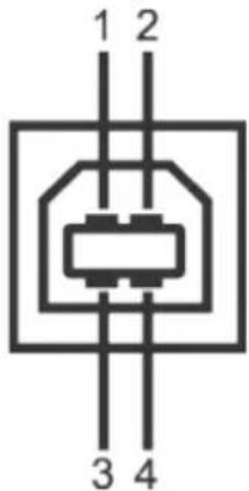 DELL P1914S - USB Upstream Connector - 1