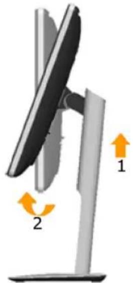 DELL P1914S - Rotating the Monitor - 1