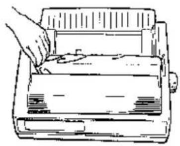 OKI Microline 591 - Remove the Protective Film - 1