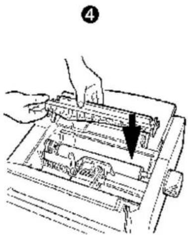 OKI Microline 591 - Solving the Problem of Continuing Rear-Feed Jamming - 4