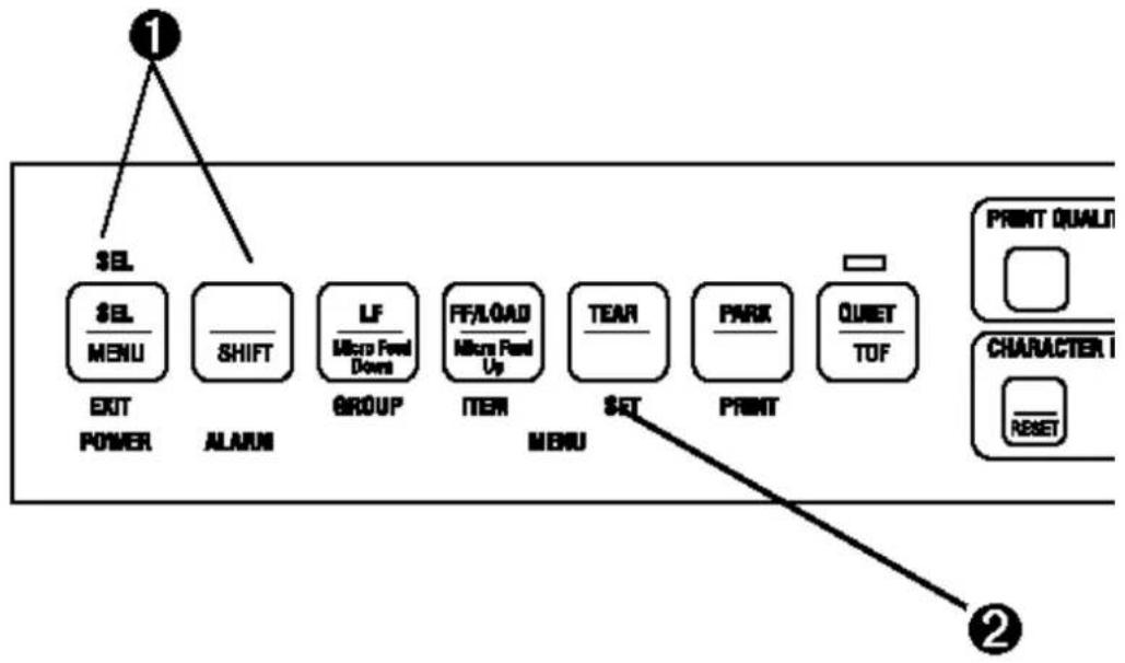 OKI Microline 591 - Changing Emulations - 1