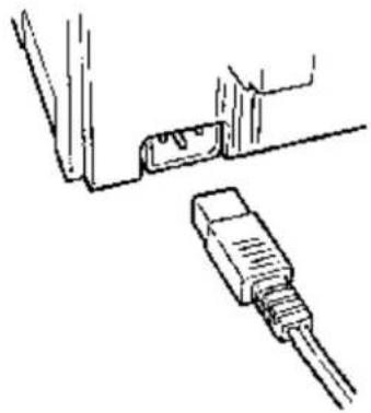 OKI Microline 591 - Connect to Your Computer and to the Power Line - 3