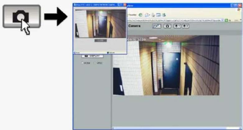 SANYO VCC-HD2100P - Click the Capture button on the tool panel. - 2