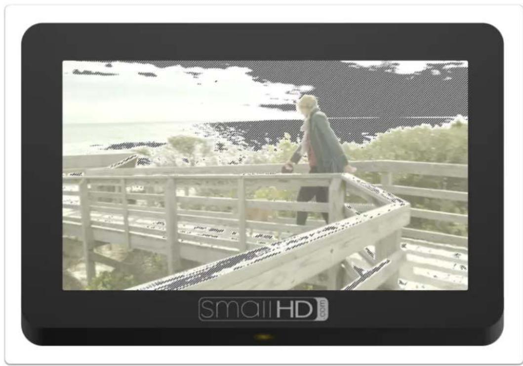 SmallHD Focus 7 - Zebra - 2