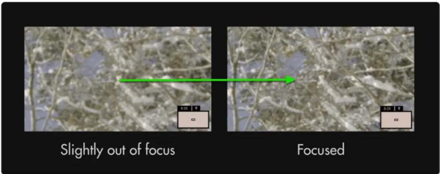 SmallHD Focus 7 - Pixel Zoom - Quick Start - 2
