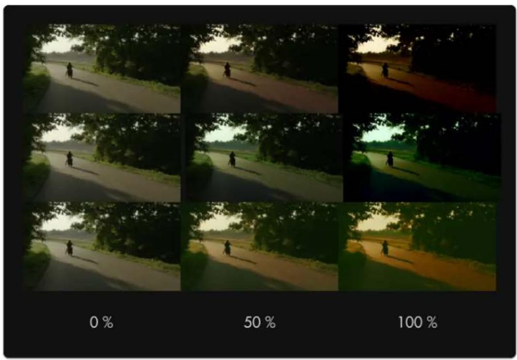 SmallHD Focus 7 - Intensity - 1