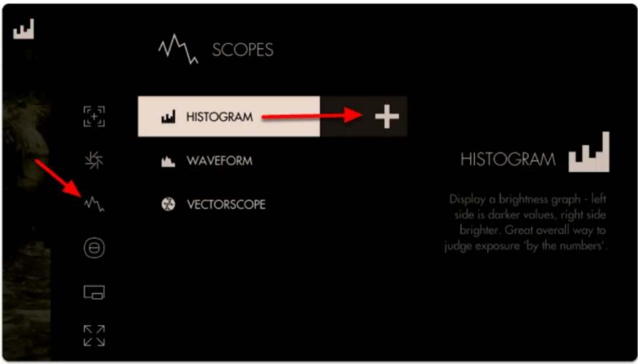 SmallHD Focus Bolt - Histogram - Quick Start - 1