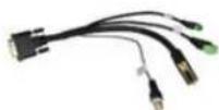 MARSHALL CV610-U3W-V2 - What's In The Box - 4