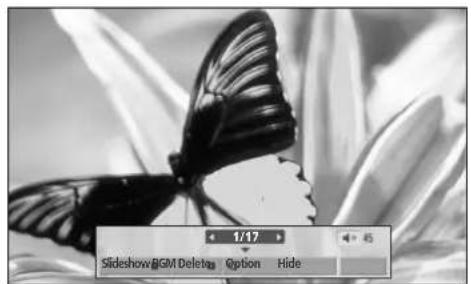 LG 55LH95QD - How to view photo - 3