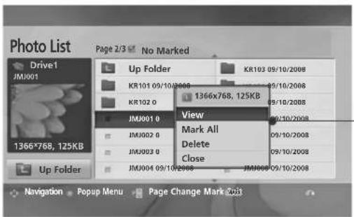 LG 55LH95QD - Photo Selection and PopUp Menu - 2