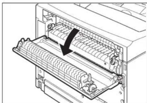 TALLYGENICOM Intelliprint 9035 - At the Fuser Unit - 3