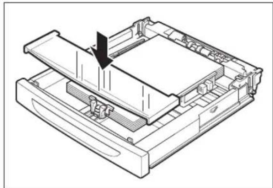 TALLYGENICOM Intelliprint 9035 - Loading Transparencies in the Paper Tray - 8