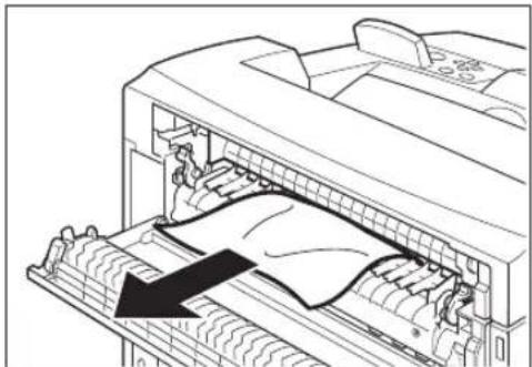 TALLYGENICOM Intelliprint 9035 - At the Fuser Unit - 4