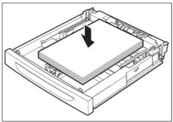 TALLYGENICOM Intelliprint 9035 - Loading Paper - 6