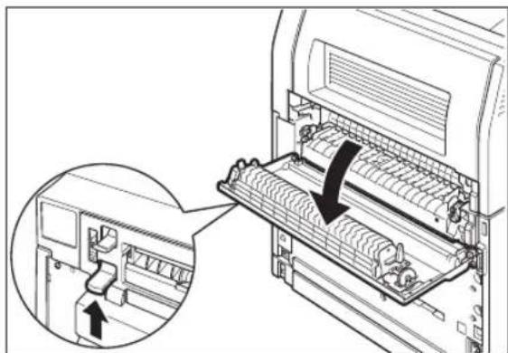 TALLYGENICOM Intelliprint 9035 - At the Offset Catch Tray - 4