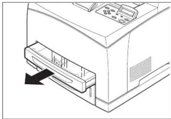 TALLYGENICOM Intelliprint 9035 - Cleaning the feed roll - 1