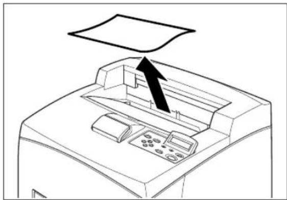 TALLYGENICOM Intelliprint 9035 - At the Toner Cartridge - 1
