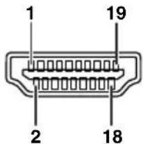 SHARP DT-510 - Component Input - 1