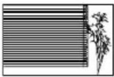 OLYMPUS Stylus VR-360 - "Focusing on the subject" - 3