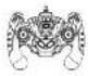 Amewi Twist 22441 - 4