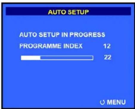 AUTO SETUP AUTO SETUP IN PROGRESS PROGRAMME INDEX 12 22 MENU