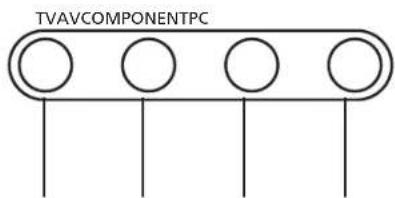 TVAVCOMPONENTPC
