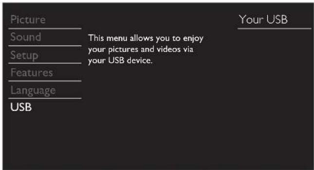 Picture Sound Setup Features Language USB This menu allows you to enjoy your pictures and videos via your USB device. Your USB