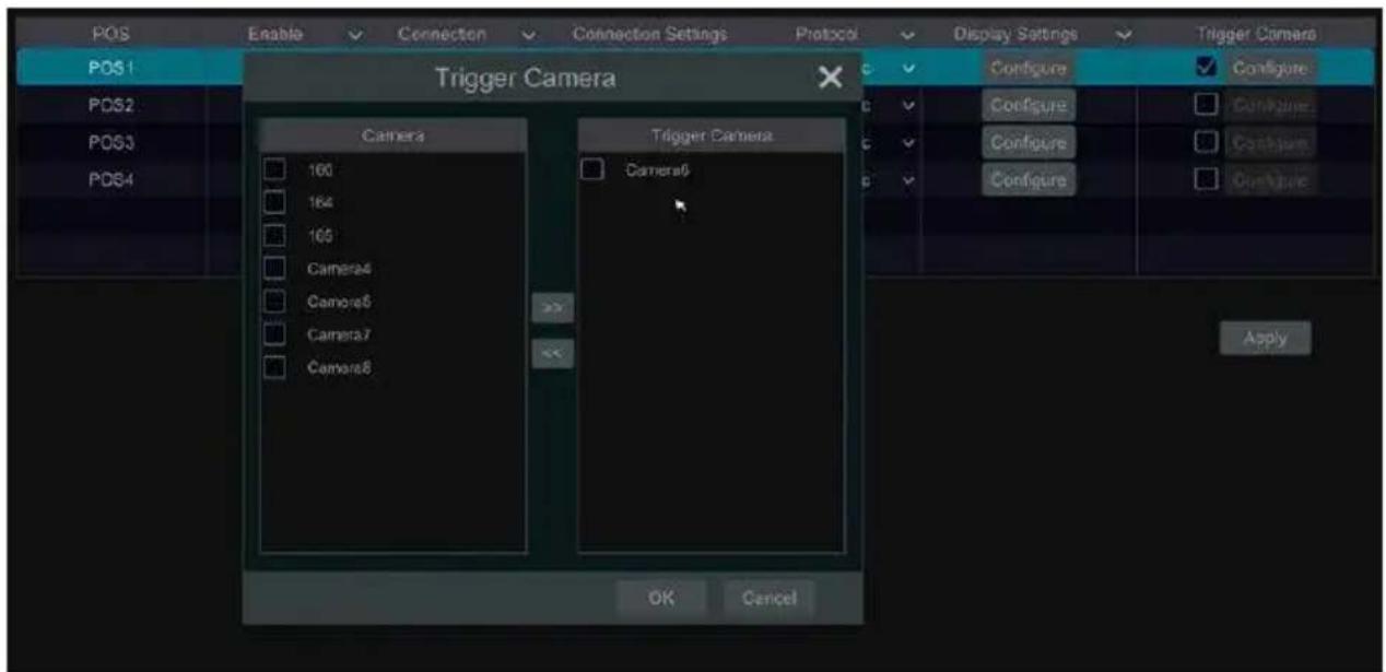 Avycon AVR-HN504P4 - POS Settings - 3