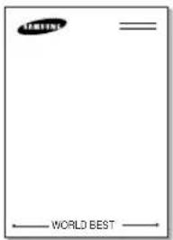 SAMSUNG ML-2251N - Creating a New Page Overlay - 1
