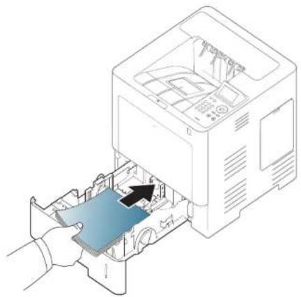 SAMSUNG ProXpress SL-M4530NX - Media and tray - 1
