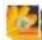 SAMSUNG Fascinate - Sharing pictures and video - 2