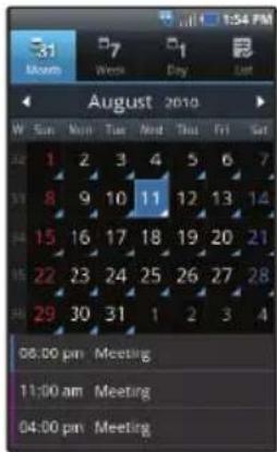 SAMSUNG Fascinate - Calendar - 3