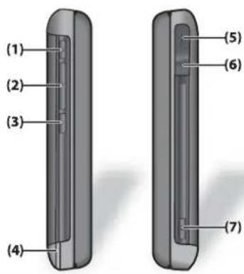 (1) (2) (3) (4) (5) (6) (7)