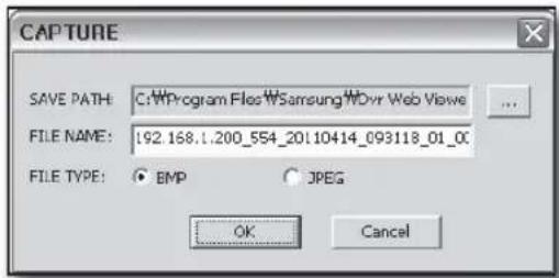 CAPTURE SAVE PATH: C:\Program Files\Samsung\MDvr Web Viswe FILE NAME: 192.168.1.200_554_201.10414_093118_01_00 FILE TYPE: ○ BMP ○ JPEG OK Cancel