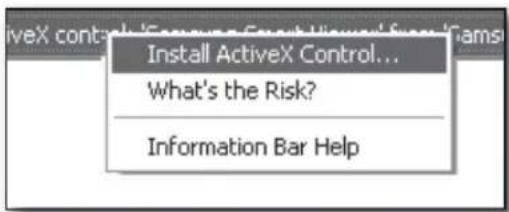 ActiveX control Install ActiveX Control... What's the Risk? Information Bar Help