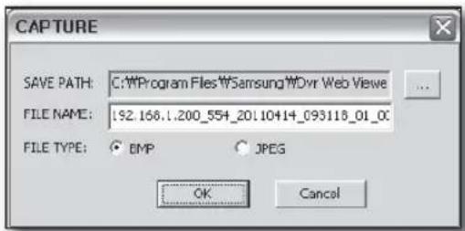 CAPTURE SAVE PATH: C:\Program Files\Samsung\MDvr Web Viewe FILE NAME: 192.166.1.200_554_201.10414_093118_01_0C FILE TYPE: BMP JPEG OK Cancel