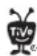 TOSHIBA RS-TX20 - ▶ Parental Controls - 13