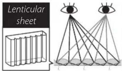 Lenticular sheet L L L