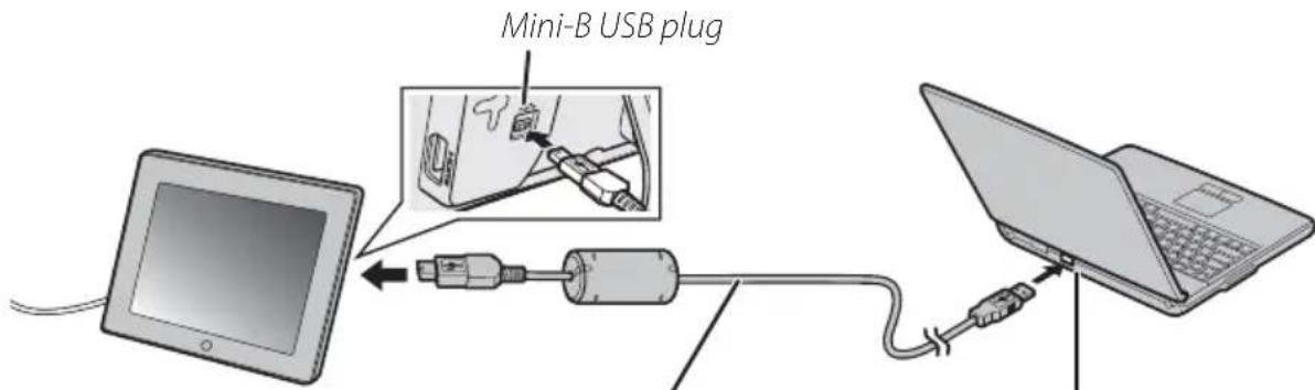 Mini-B USB plug